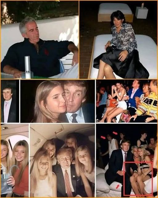 May be an image of one or more people, blonde hair and people smiling