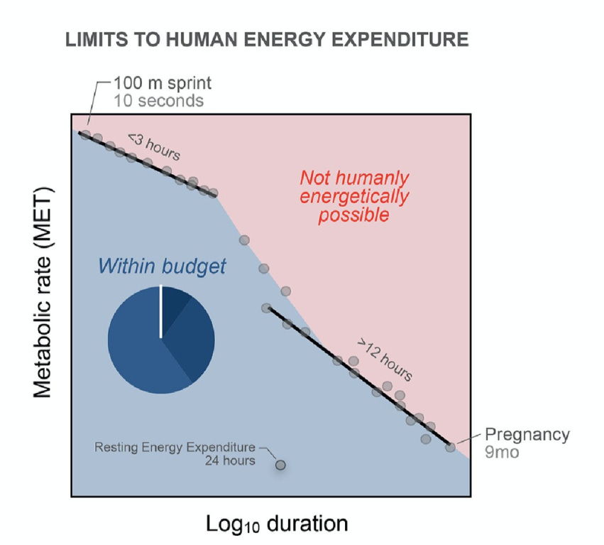 A figure showing the limits to human energy expenditure with metabolic rate on the y-axis and the log of duration on the x-axis. A figure showing the limits to human energy expenditure with metabolic rate on the y-axis and the log of duration on the x-axis.