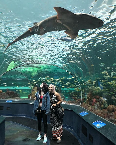 A collection of photos from Teddy's visits to an aquarium, as well as their laptop decked out in ocean themed stickers, and a piled of shark ecology books on their desk.