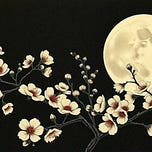 Blossomoon