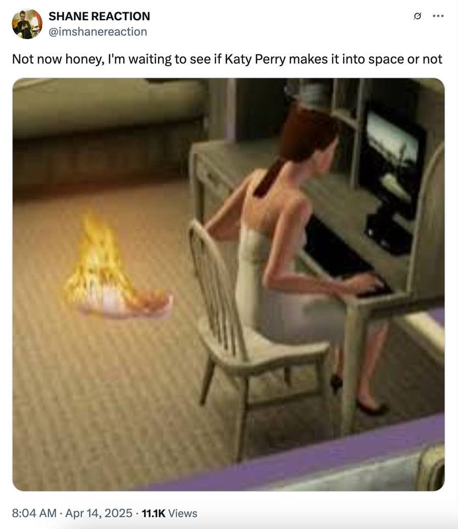 Internet Reactions To Katy Perry's Space Mission