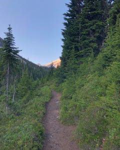 Screen Shot 2019-07-24 at 11.49.09 AM