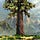 Rooted Code