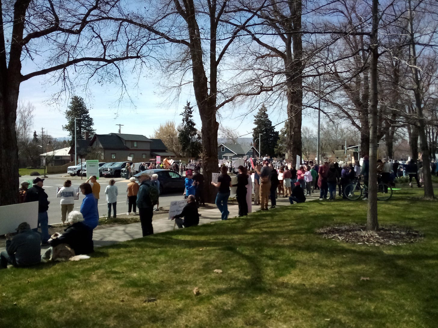 Protesters at a rally