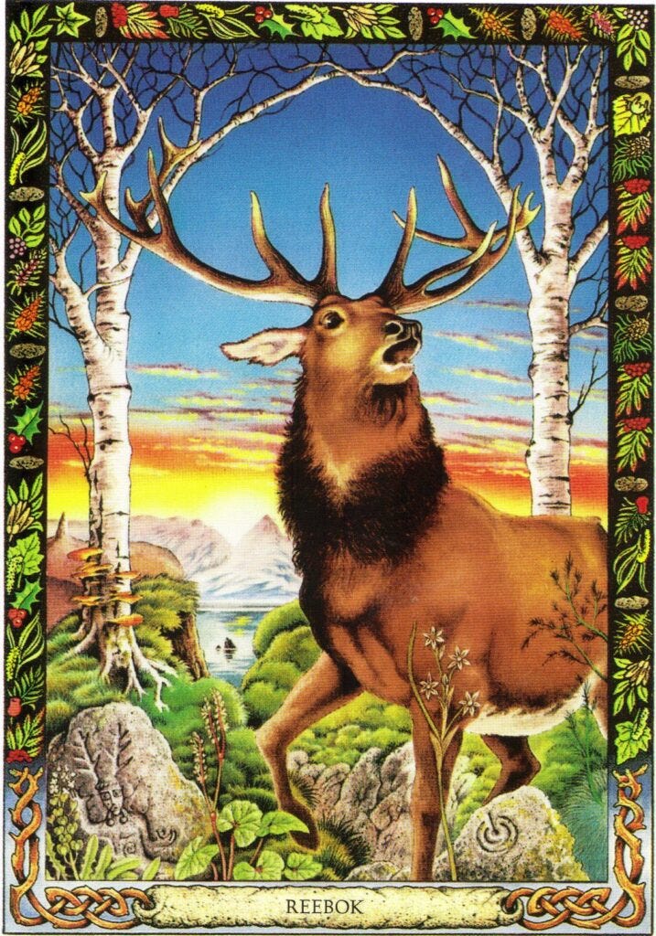 A Message from the Universe - Stag (reversed) A Message from the Universe - Stag (reversed)
