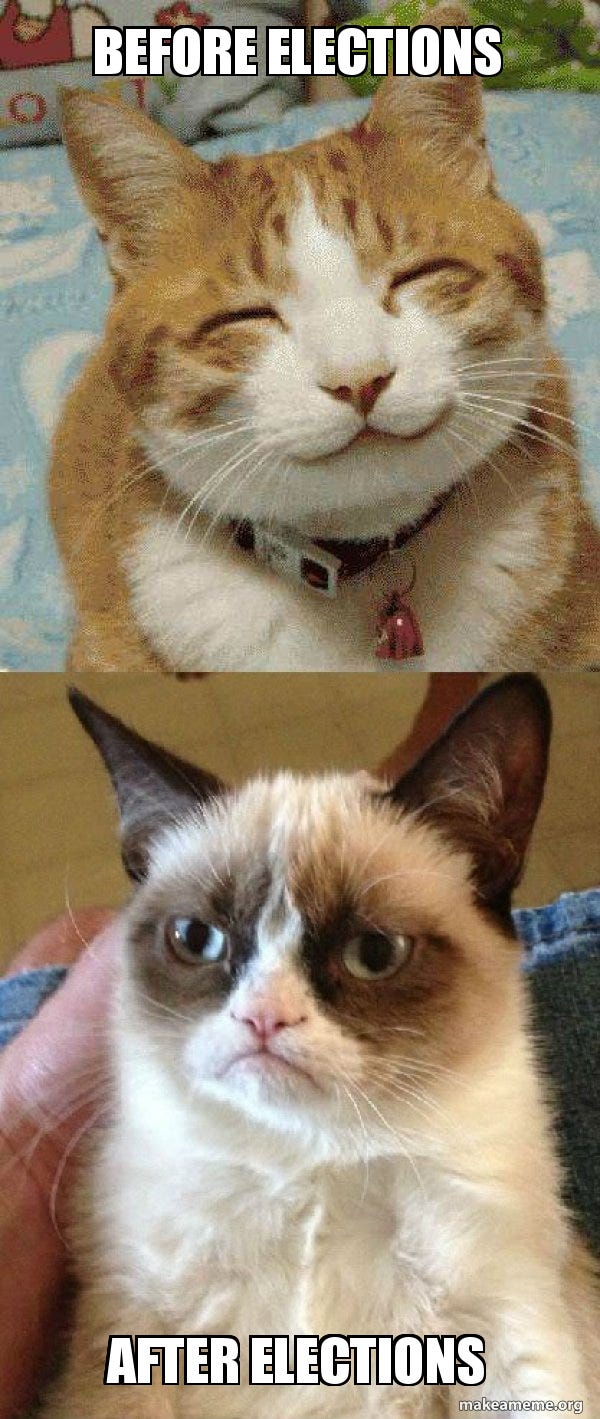 before elections after elections - Grumpy Cat vs Happy Cat | Make a Meme