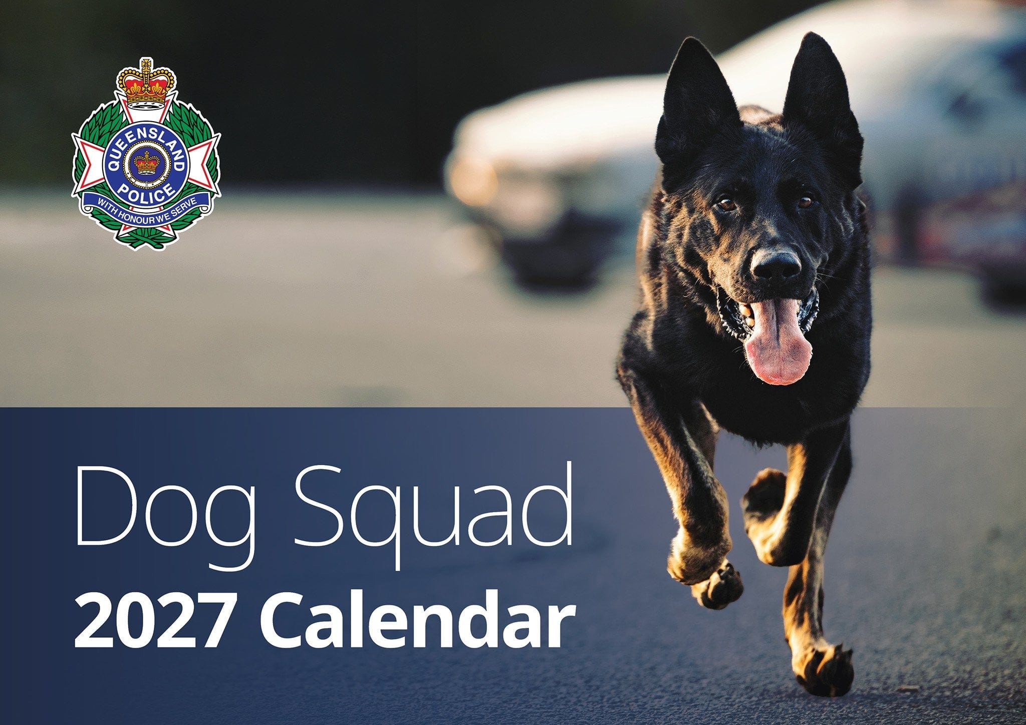 Weekly Crime Brief 🕵️📰9 August 26 - by Steve Cook