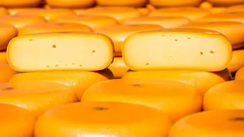 Getty Images A picture of Gouda cheese in the Netherlands Getty Images A picture of Gouda cheese in the Netherlands