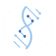 The Codon