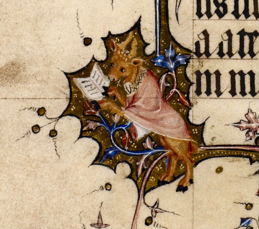 weird medieval guys BOOK OUT NOW !! on X: "a literary cow, england, 14th  century https://t.co/CM8dqlCDa8" / X