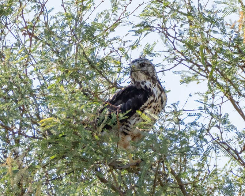 20250731-Manville-28-Edit.jpg 20250731-Manville-28-Edit.jpg