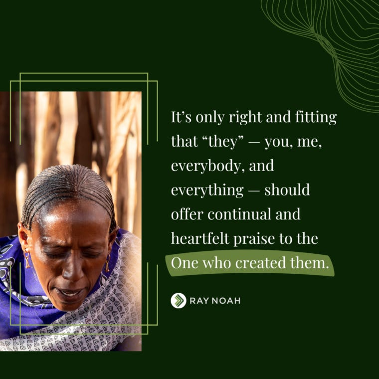It Is Only Fitting That “They” Praise - Ray Noah Blog