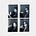 used to muse's avatar
