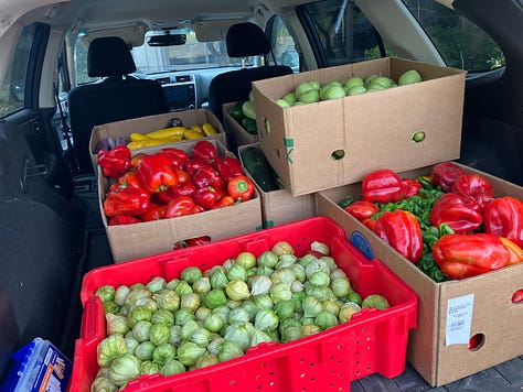 Fruit, vegetables, food bank and gleaning organizations