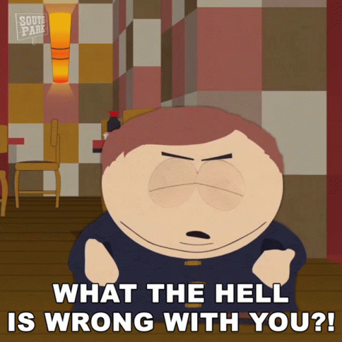 a cartoon character from south park is asking what the hell is wrong with you