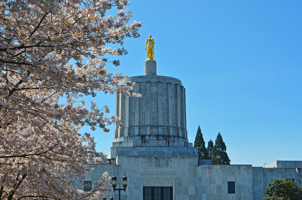 Salem Oregon Cherry Blossoms