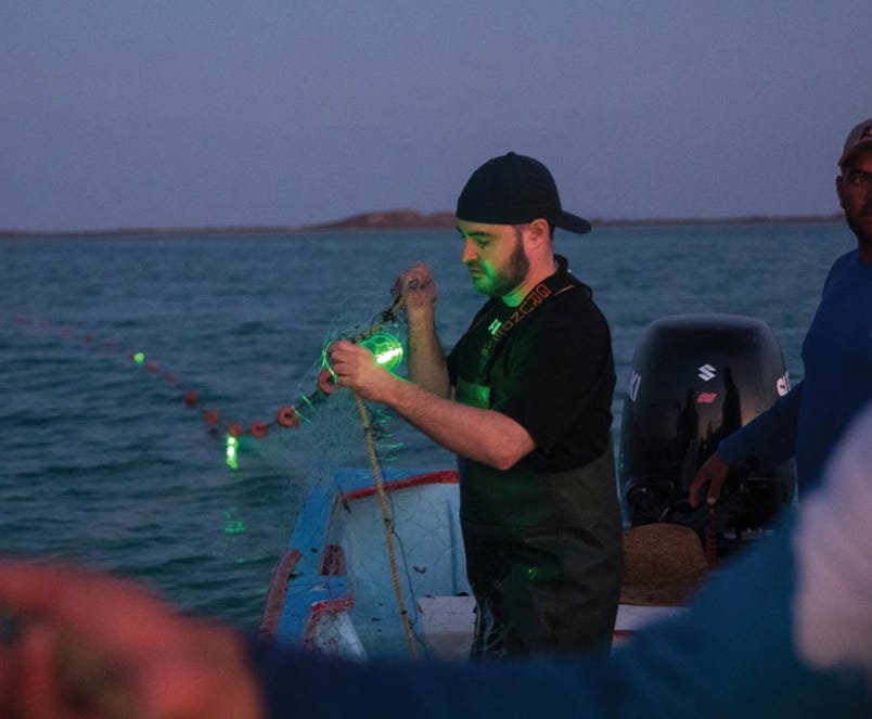 Filets lumineux : une révolution pour la pêche durable et la biodiversité Filets lumineux : une révolution pour la pêche durable et la biodiversité