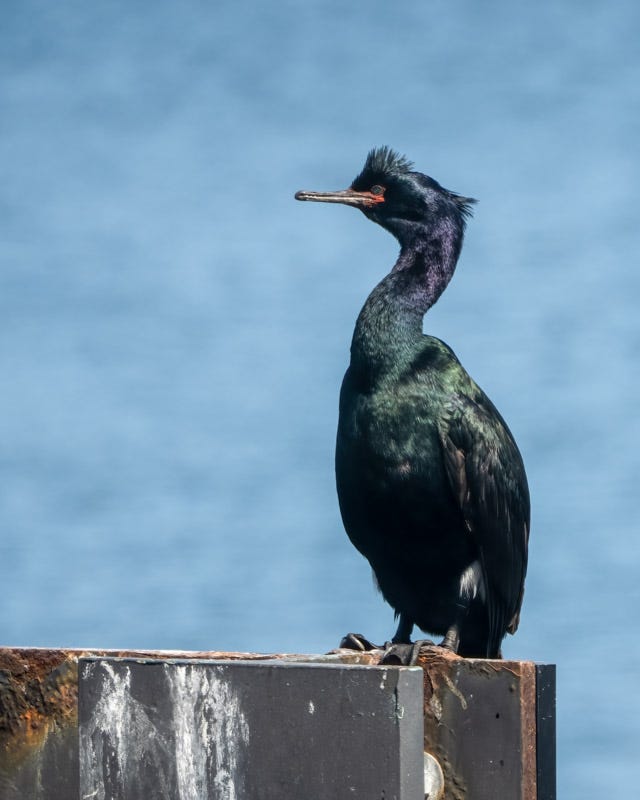 20250610-SJI-346-Edit.jpg 20250610-SJI-346-Edit.jpg