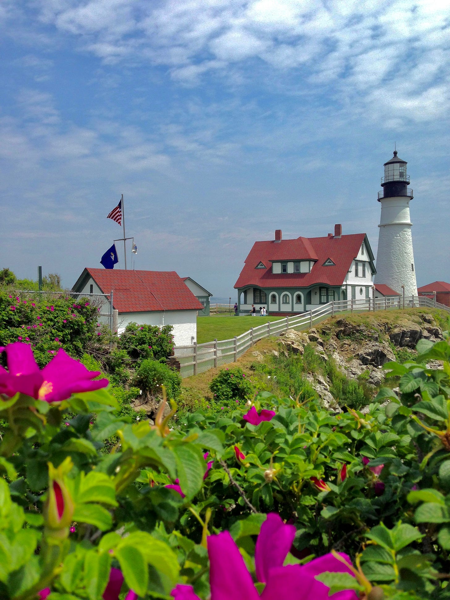 Portland Head Light and its red-roofed keeper's house at Fort Williams Park, Cape Elizabeth, Maine, with magenta beach roses blooming in the foreground under a summer sky.