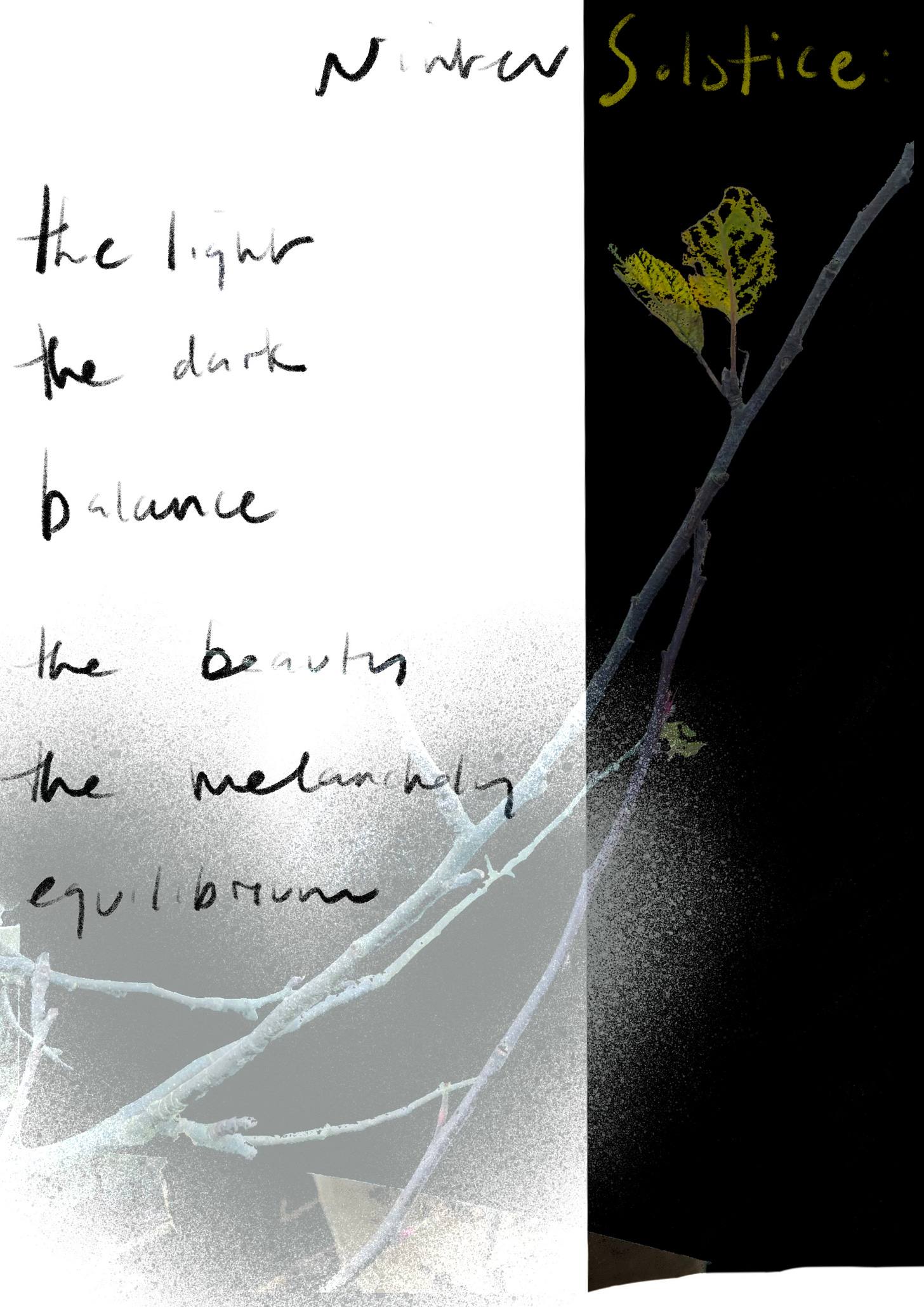 Winter Solstice: the light, the dark, balance, the beauty, the melancholy, equilibrium.