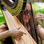 Terri HarpLady's avatar
