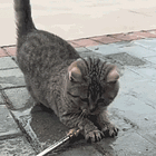 This One Time, At War Game? Tabs, Fri., March 13, 2026