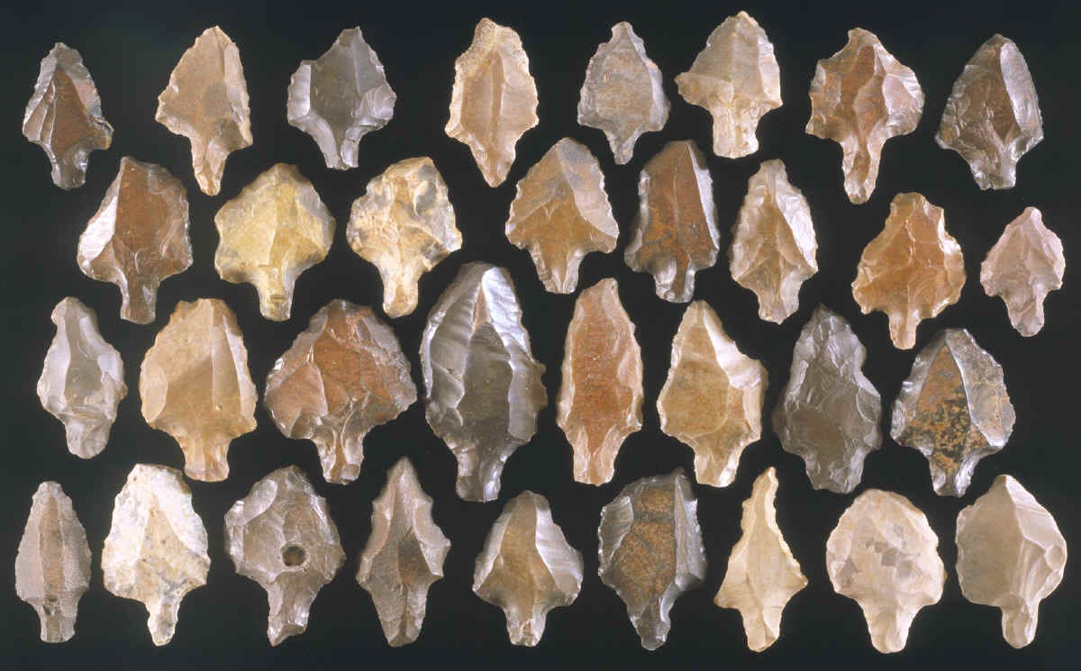 33 tanged Aterian points made of various cherts. 33 tanged Aterian points made of various cherts.