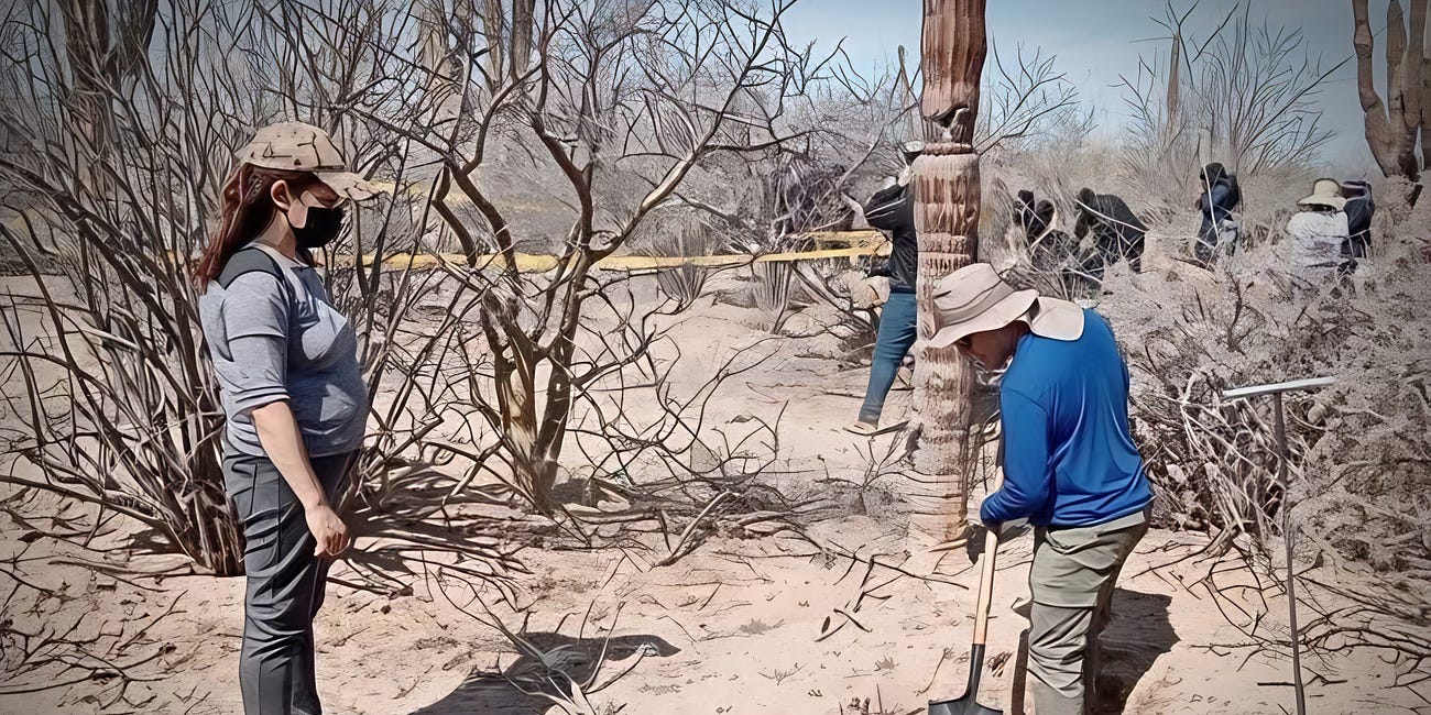Hallan nuevas fosas clandestinas en Baja California Sur con 21 osamentas