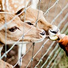 Why we started giving our kids fewer things