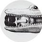Katie Petterson's avatar