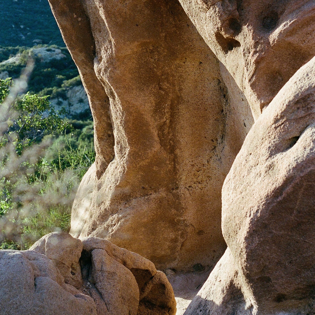 Writing from the Ashes