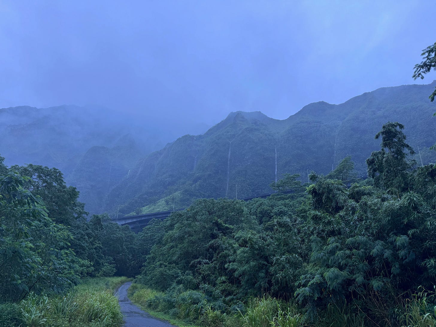 A quiet, narrow road curves through lush tropical greenery on a rainy, overcast day. Dense trees and tall grasses line both sides of the path. In the background, steep emerald-green Koʻolau mountains on windward Oʻahu rise dramatically, their upper slopes shrouded in low clouds and mist. Several thin ribbon waterfalls streak down the mountain faces. A highway viaduct is partially visible cutting across the middle distance. The entire scene is bathed in a cool blue-gray light typical of a rainy day. A quiet, narrow road curves through lush tropical greenery on a rainy, overcast day. Dense trees and tall grasses line both sides of the path. In the background, steep emerald-green Koʻolau mountains on windward Oʻahu rise dramatically, their upper slopes shrouded in low clouds and mist. Several thin ribbon waterfalls streak down the mountain faces. A highway viaduct is partially visible cutting across the middle distance. The entire scene is bathed in a cool blue-gray light typical of a rainy day.