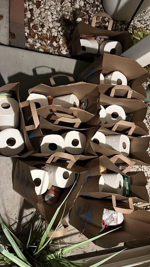 Paper grocery bags filled with canned goods, pasta, and rolls of paper towels prepared for neighbors as part of a Halloween community care project a local act of mutual aid and generosity.