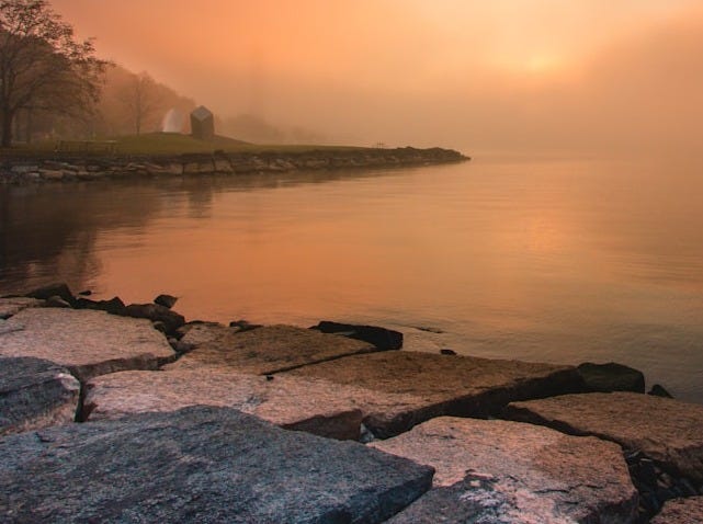 photography of lake near tree