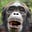 A Monkey Mind's avatar