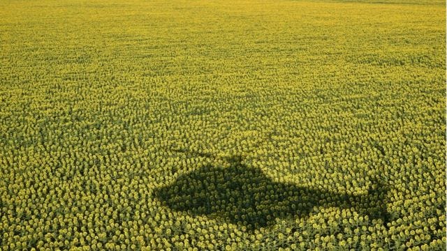 Ukraine