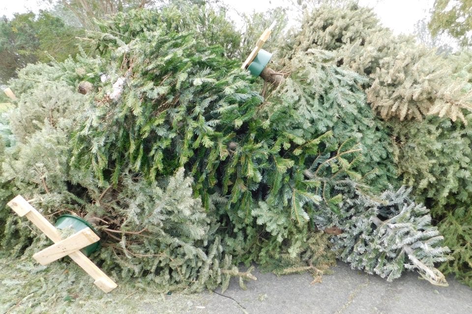 Photo courtesy of Buckrail.com