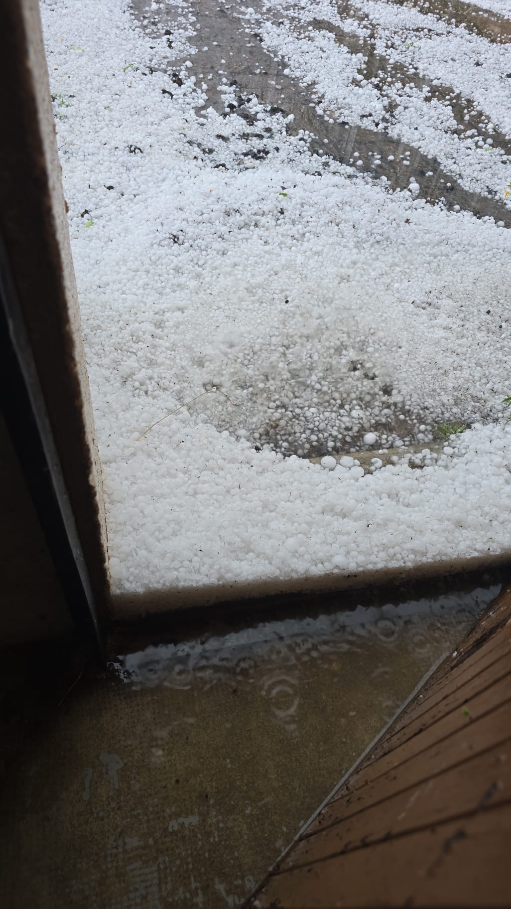 Aucune description de photo disponible.