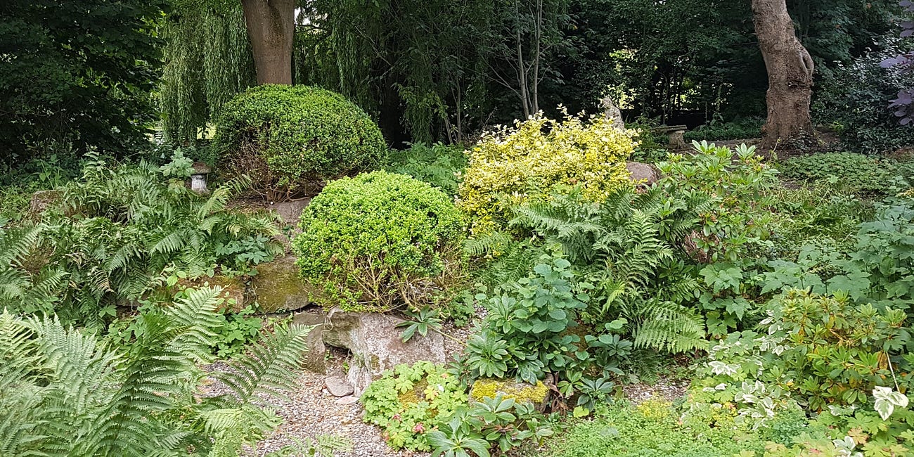 A Shady Rockery