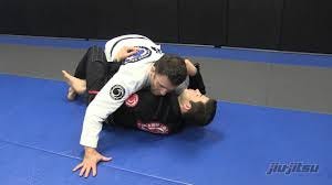 JJM 22 Shawn Williams - Nearside Under ...