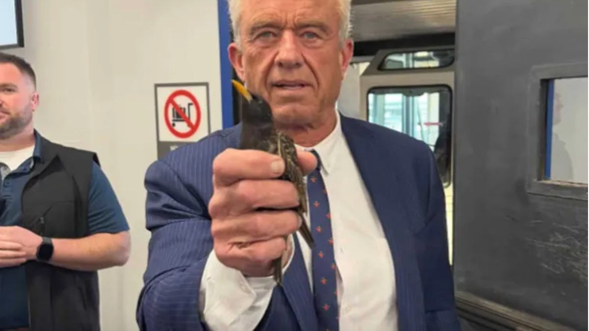 Hantavirus humiliates RFK Jr.