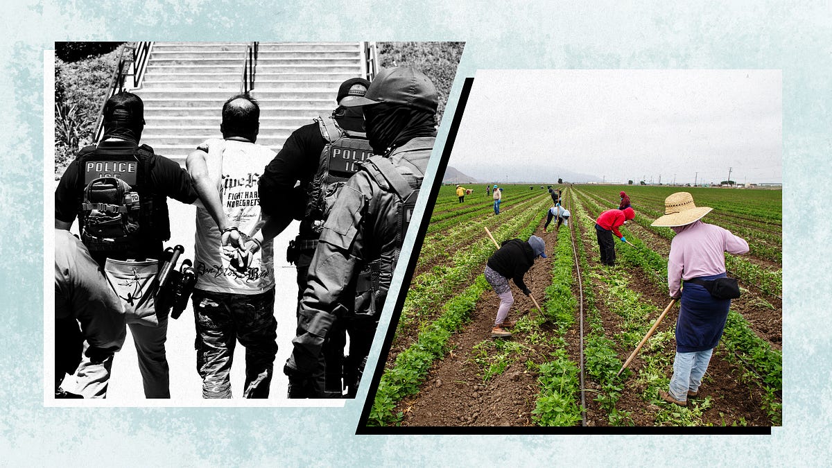 How Dems Can Win on Immigration in November