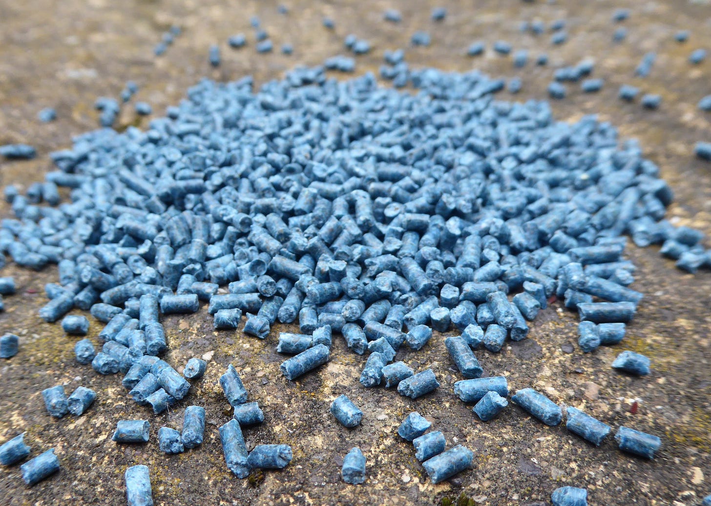 Metaldehyde slug bait - the ban has been overturned » Veterinary Poisons Information Service