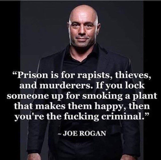 Joe Rogan, a bald man in a black suit, standing against a gray background. Text overlay reads, "Prison is for rapists, thieves, and murderers. If you lock someone up for smoking a plant that makes them happy, then you\'re the fucking criminal." - JOE ROGAN.