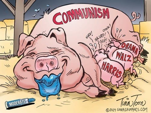 https://earthnewspaper.com/category/political