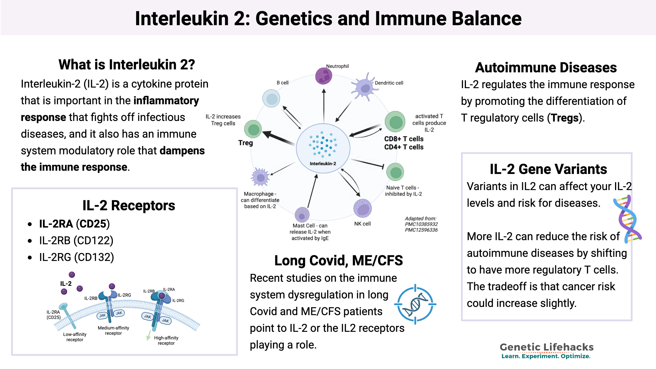 IL-2, Immune System Balance, and Musings on Life