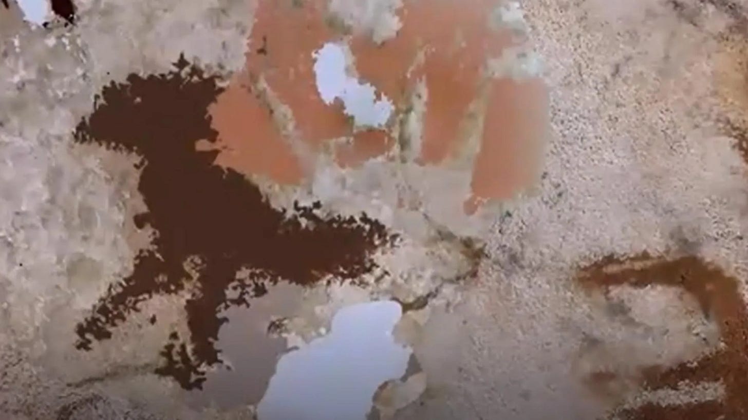 Oldest Art Ever Found Is Strange Handprint Oldest Art Ever Found Is Strange Handprint