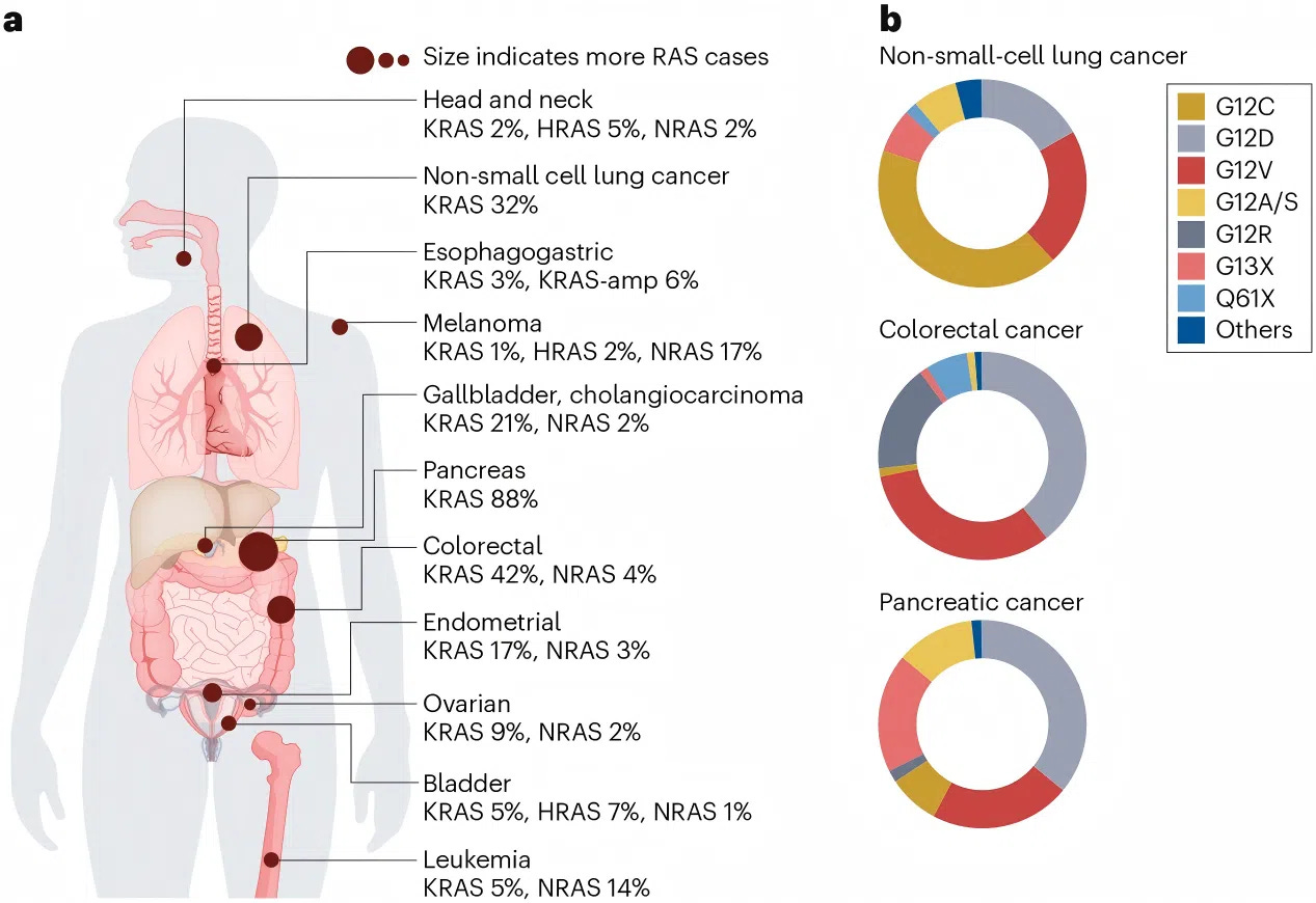 Figure 2: RAS Mutations in Cancer Figure 2: RAS Mutations in Cancer