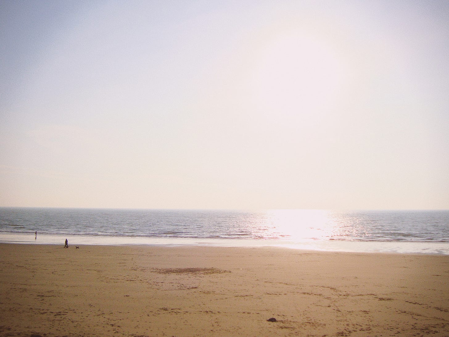 a sunny beach with a person walking their dog in the distance