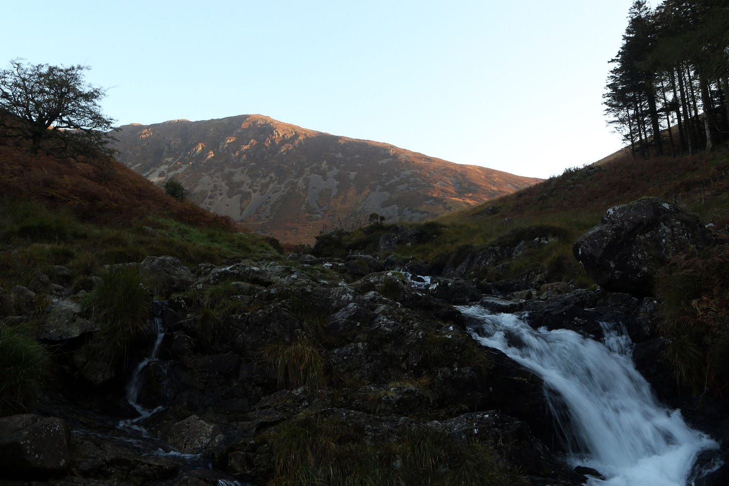 A low-angle view looking up a mountain stream, with white water cascading over dark, shadowed rocks in the foreground. Beyond the shadowed valley, framed by a silhouetted bare tree on the left and tall pines on the right, the rugged slopes of a large mountain are illuminated by warm, golden sunlight against a pale, clear sky.